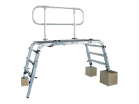 rettungsplattform big