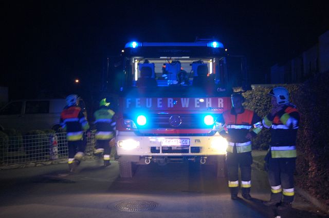 Kaminbrand Beim Viehgatter 60