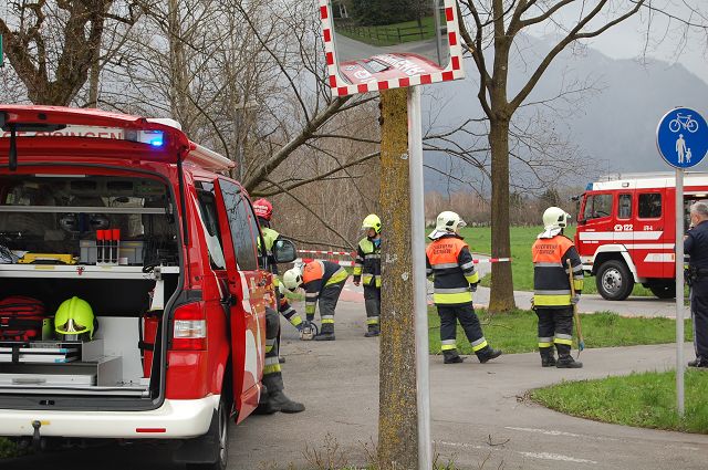 Tomalagasse Baum verlegt Strasse 020