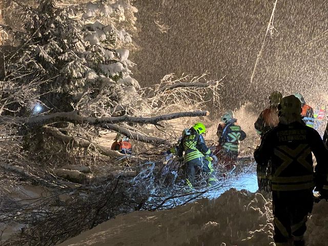 OFG-139957278 3739633842764345 4773836321967937544 o